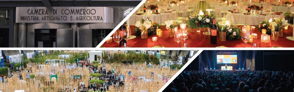 PRO BRIXIA AZIENDA SPECIALE CAMERA DI COMMERICIO DI BRESCIA