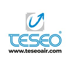 TESEO SRL